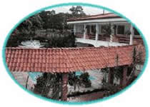 Main Picture