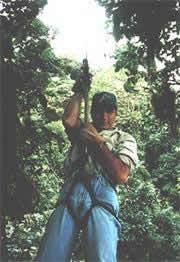 Canopy Tour