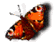 costa rica rain forest hotels, resorts, lodges and tours