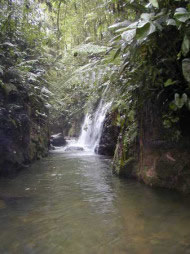 One of the waterfalls