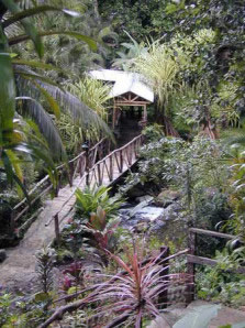 Chachagua Rain Forest Hotel
