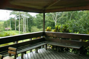 Chachagua Rain Forest Hotel
