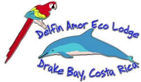 Delfin Amor Eco Lodge - Drake Bay