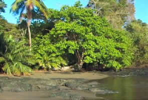 Beautiful beach