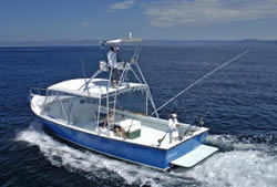 Diving boats