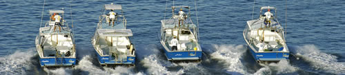 Ocotal Fishing Fleet