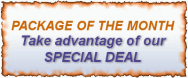Package of the month