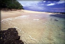 tamarindo beach