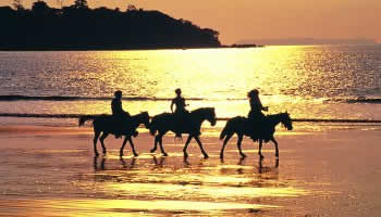 Tango Mar horse back ride