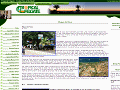 Area Info - Playas del Coco, Guanacaste, Costa Rica