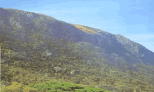 The high plateau on Barra Honda consists on thick layers of limestone dating 56-75 million years ago.