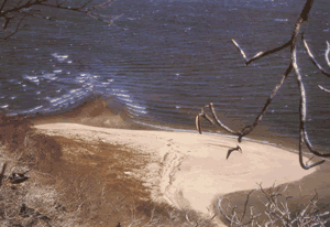 Sandy beach at one end of the island, where visitors land.