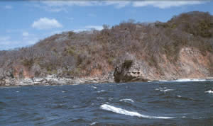 The deciduous hill forest covers a large part of the refuge.