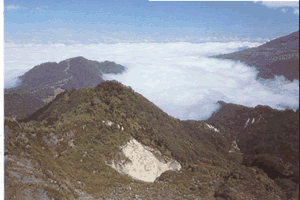 The vegetation on Irazu is scarce and stuned as a result of constant eruption