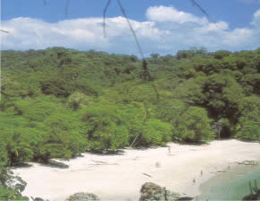 Despite its small size, manuel antonio offers extraordinary scenic sights.