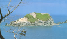 Manuel Antonio includes 12 islands that are important refuges for seabirds.