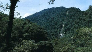 waterfalls cascade down the steep clifs