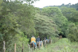 MONTEVERDE HORSEBACK RIDING