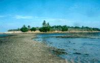 shore