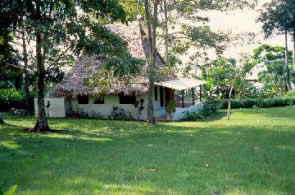 Bosque del Cabo Deluxe Cabin