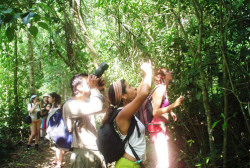 CAHUITA NATIONAL PARK HIKE