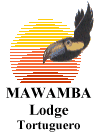 Mawamba Lodge in Tortuguero