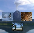 Wildlife Immersion Package