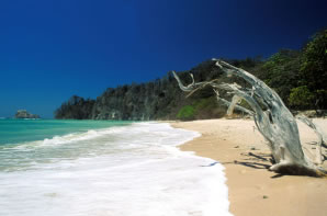 Cabo Blanco coastline