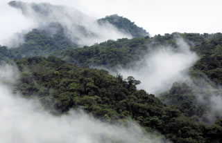 Monteverde